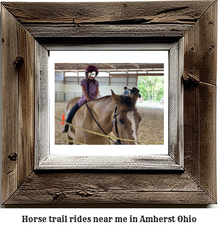 horse trail rides near me in Amherst, Ohio